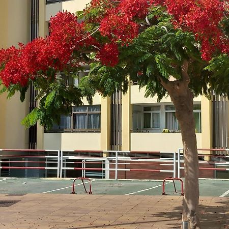 Tropical House Near Beach&Yumbo San Bartolomé エクステリア 写真