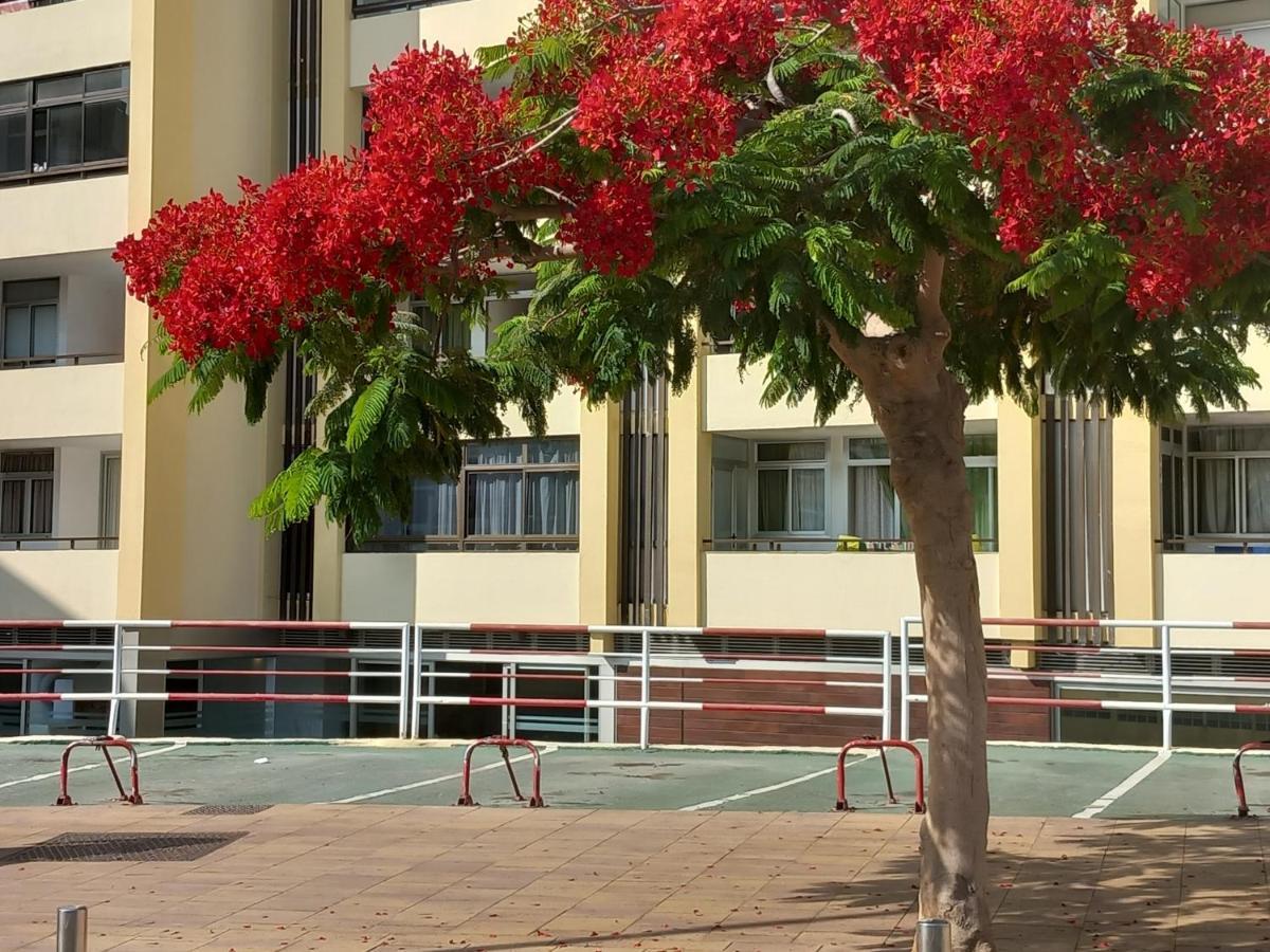 Tropical House Near Beach&Yumbo San Bartolomé エクステリア 写真